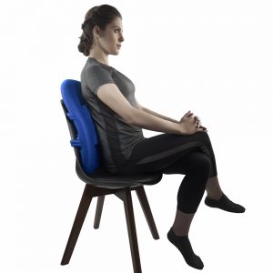 Orthopaedic Back Support