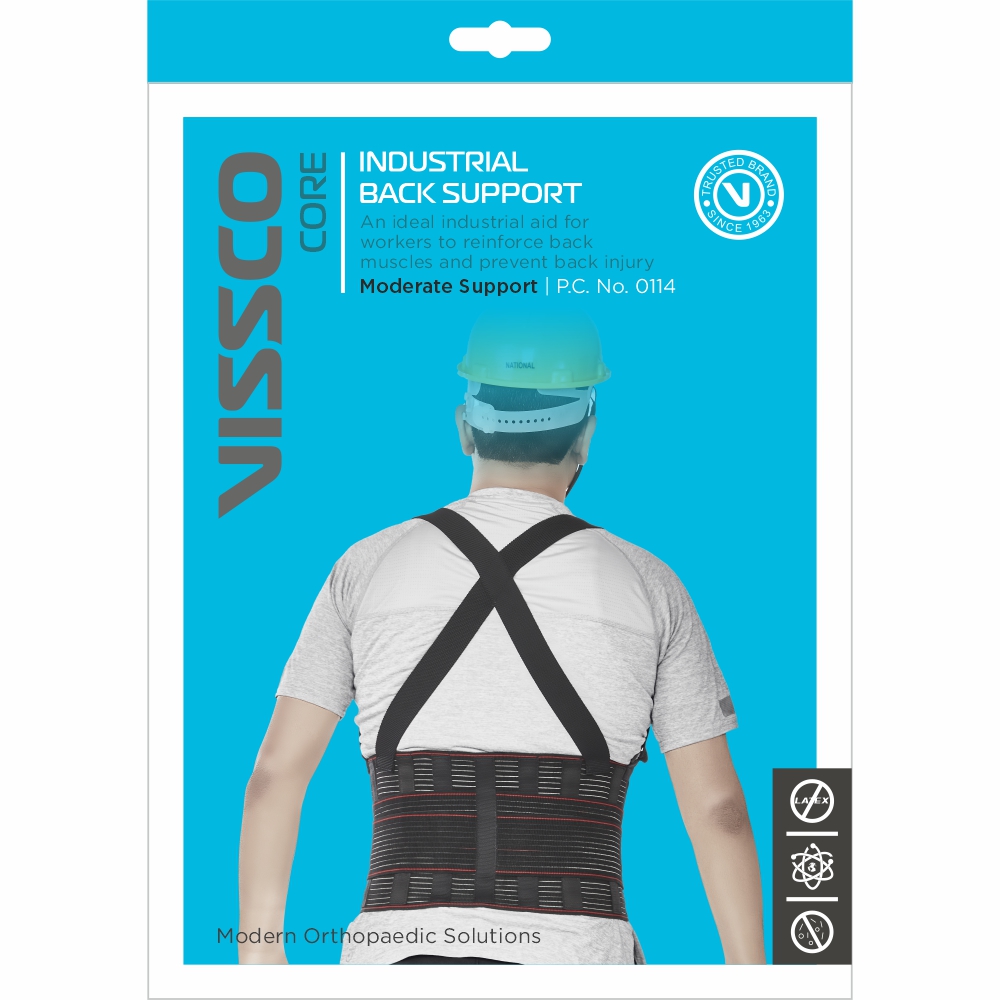 Buy Vissco Industrial Back Support Online In India