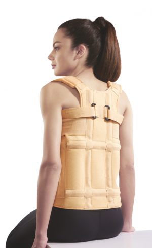 Taylor Brace ( Dorso Lumbar Spinal Brace )