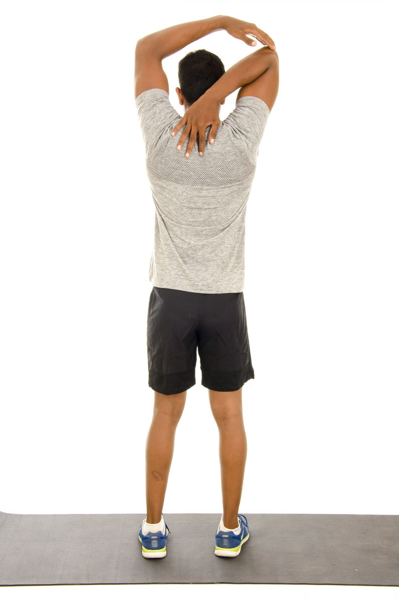 Triceps Stretch Vissco Healthcare Private Limited.