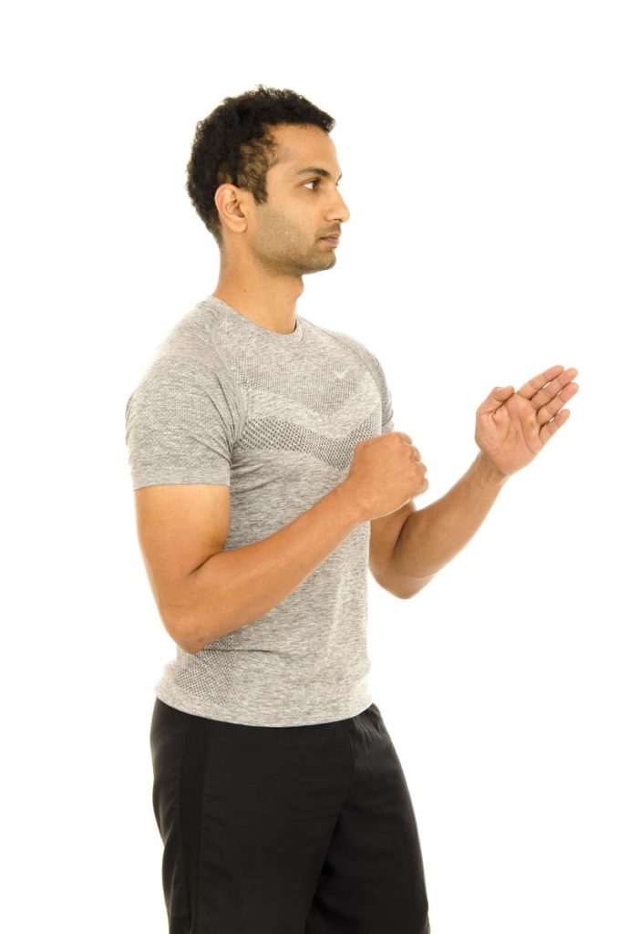 Shoulder Flexion Isometric 1 with Elbow Bend