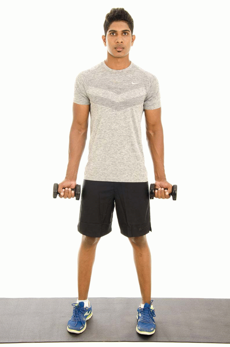 Bicep Curl with Dumbbell - Vissco Healthcare Private Limited.