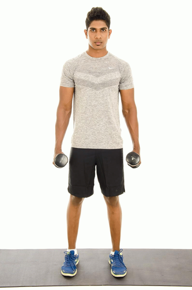 Hammer Curl with Dumbbell Vissco Healthcare Private Limited.