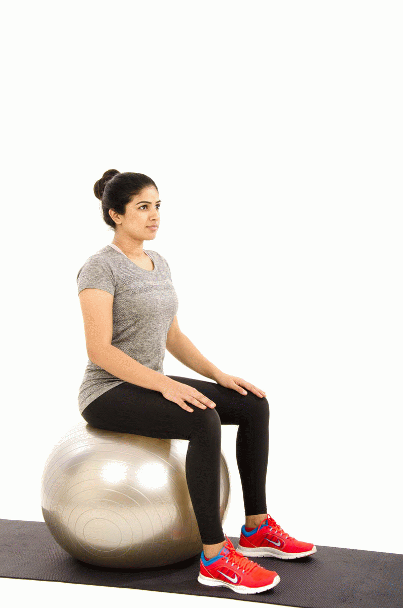 Pelvic Clocks On Gym Ball Vissco Healthcare Private Limited.