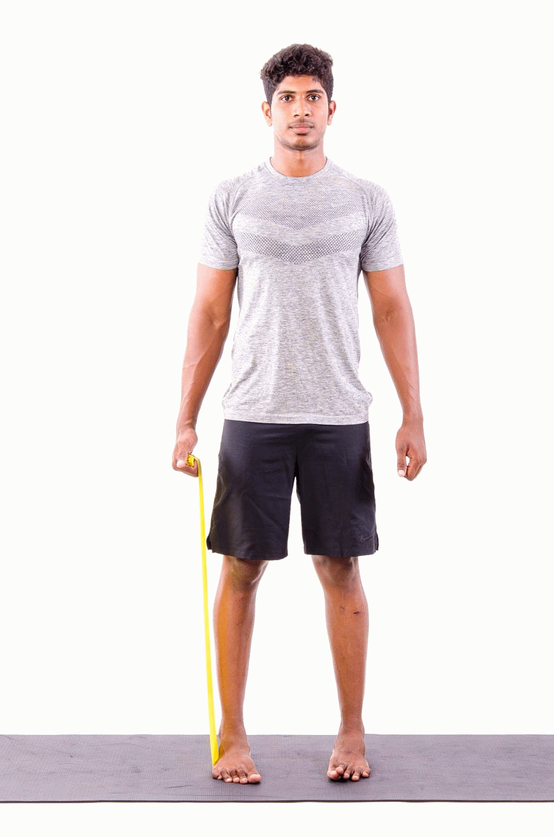Vissco theraband online
